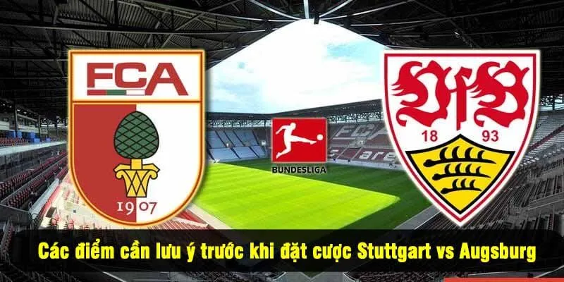 Các điểm cần lưu ý trước khi đặt cược Stuttgart vs Augsburg