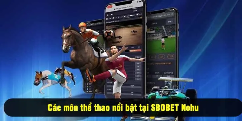 Các môn thể thao nổi bật tại SBOBET Nohu