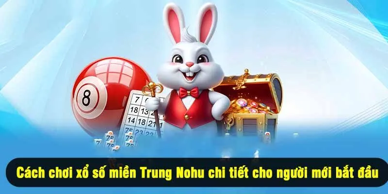 Cách chơi xổ số miền Trung Nohu chi tiết cho người mới bắt đầu