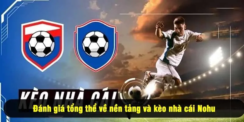 Đánh giá tổng thể về nền tảng và kèo nhà cái Nohu