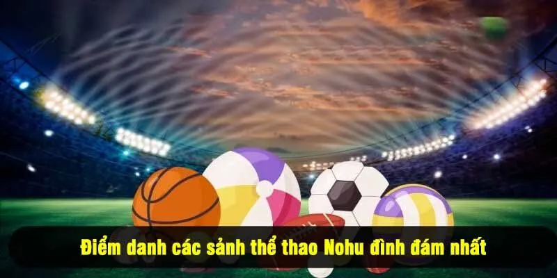 Điểm danh các sảnh thể thao Nohu đình đám nhất