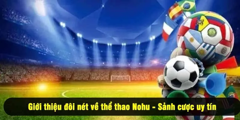 Giới thiệu đôi nét về thể thao Nohu - Sảnh cược uy tín