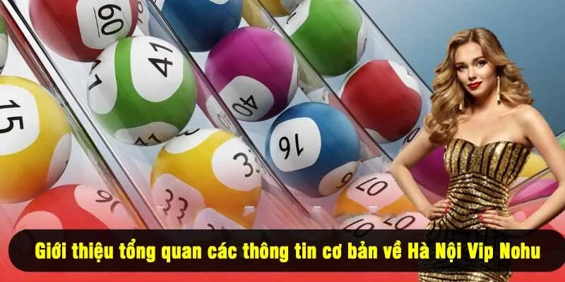 Giới thiệu tổng quan các thông tin cơ bản về Hà Nội Vip Nohu