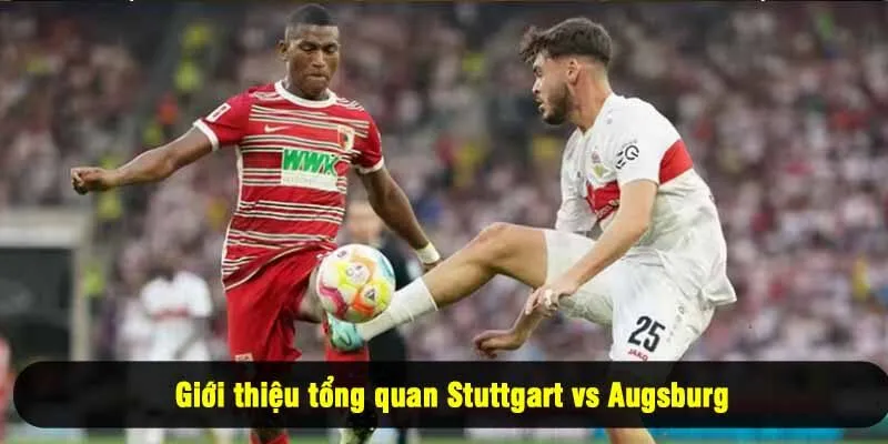 Giới thiệu tổng quan Stuttgart vs Augsburg