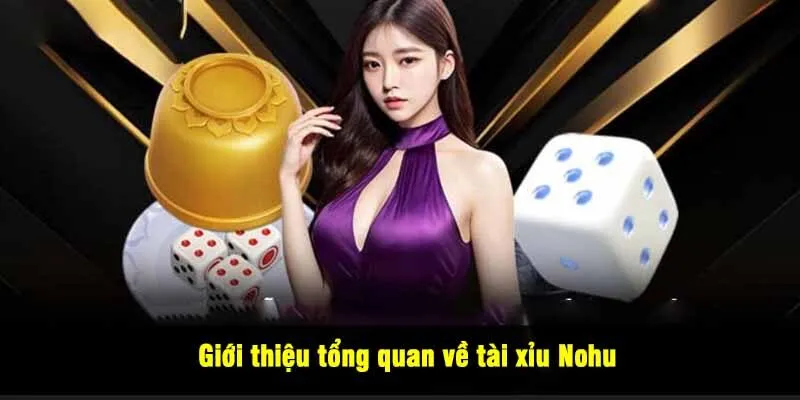 Giới thiệu tổng quan về tài xỉu Nohu