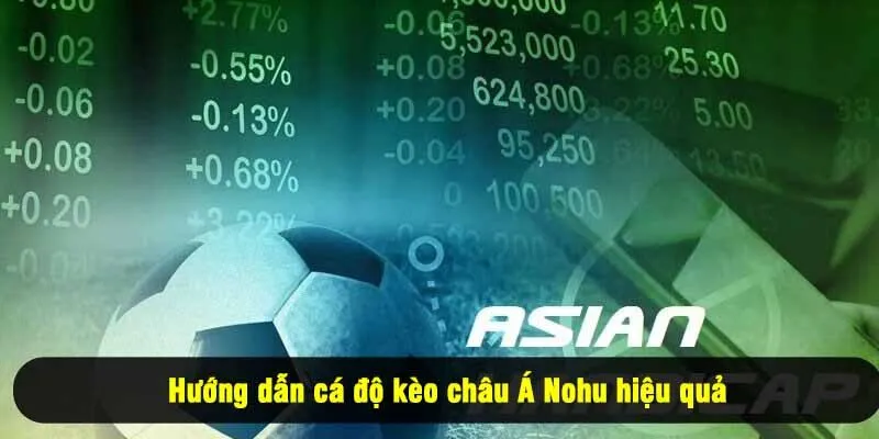 Hướng dẫn cá độ kèo châu Á Nohu hiệu quả