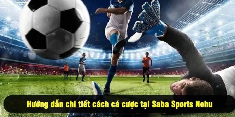 Hướng dẫn chi tiết cách cá cược tại Saba Sports Nohu