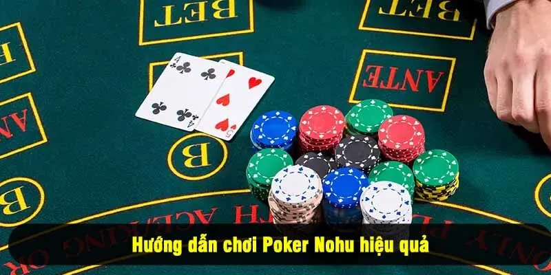 Hướng dẫn chơi Poker Nohu hiệu quả