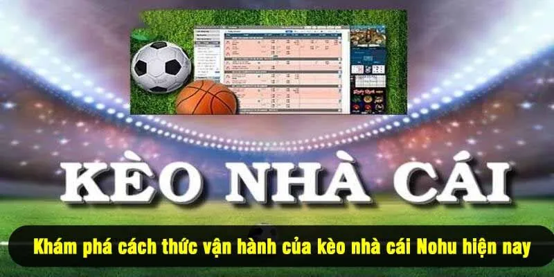 Khám phá cách thức vận hành của kèo nhà cái Nohu hiện nay
