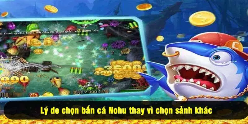 Lý do chọn bắn cá Nohu thay vì chọn sảnh khác