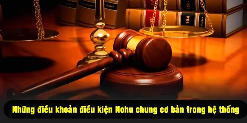 Những điều khoản điều kiện Nohu chung cơ bản trong hệ thống