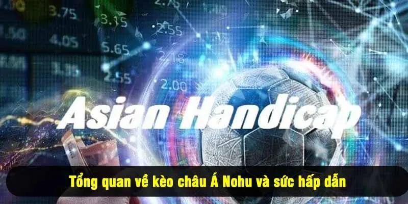 Tổng quan về kèo châu Á Nohu và sức hấp dẫn