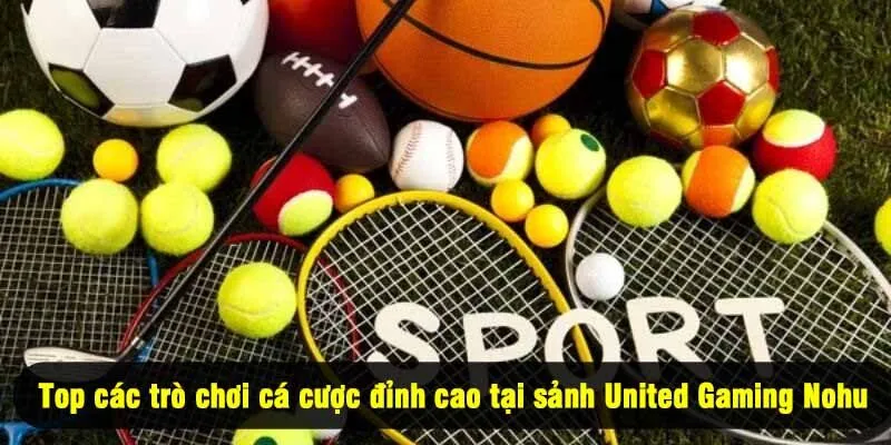 Top các trò chơi cá cược đỉnh cao tại sảnh United Gaming Nohu